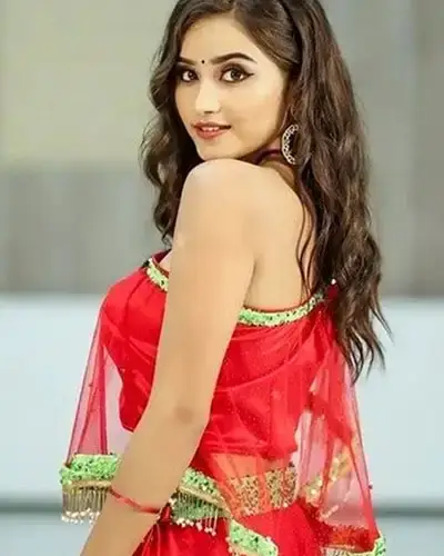 Call Girls Service Naroda